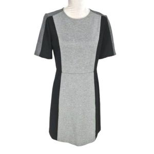 Ann Taylor Loft Colorblock Dress